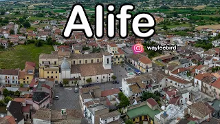 ALIFE Campania, Caserta (Sud Italia) In associazione con la mafia degli spaghetti 😂😋