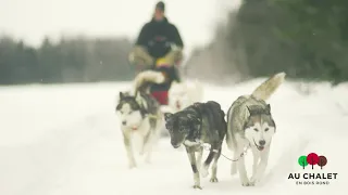 Essayez une balade en traîneau à chiens cet hiver dans le village touristique Au Chalet en Bois Rond