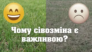 No-Till Озима Пшениця 02.05.21 | Сівозміна, сорти, якість посіву