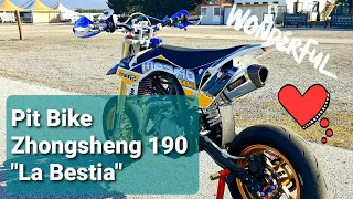 Pit Bike 190 Zhongsheng...la bestia!!