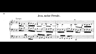 J. S. Bach - Jesu, meine Freude | BWV 610 (Leon Kopecny)