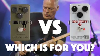 Green Russian vs Ram's Head Big Muff for David Gilmour Tones! (No Talking)