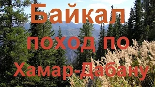 Байкал 2006. Поход в район Байкала. Хамар - Дабан.
