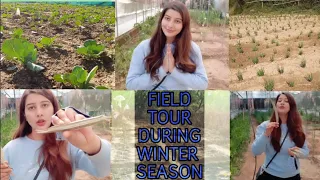 Field tour🍀-Bulb onion|| Cole crops || Experimental farm || Coh&f,Neri || Pratibha Sharma🌼