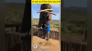 ओ भाई इतना बड़ा हाथी Biggest Elephant In The World 😳 #facts #shorts