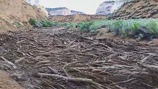 Опасные природные явления. Сель или Селевой поток. Нарезка видео