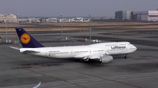 Jumbo Jet (D-ABYK / Boeing 747-830 / Lufthansa / 2016-03-04 15:21-15:35 JST / HND)