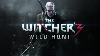 Witcher 3 The Wild Hunt 35 Minutes of Gameplay (Novigrad Town, Monster Fight, Scary Witches...)