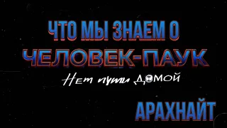 Человек-Паук Нет Пути Домой - Что Нам Известно?