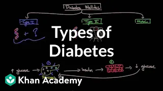 Types of diabetes | Endocrine system diseases | NCLEX-RN | Khan Academy