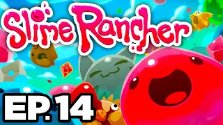 🐯 SABER SLIMES, OGDEN'S RETREAT, KOOKADOBA, MIRACLE MIX! - Slime Rancher Ep.14 (Gameplay Let's Play)