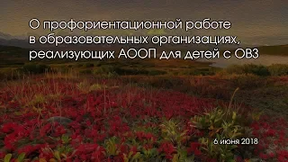 О профориентационной работе в образовательных организациях, реализующих АООП для детей с ОВЗ