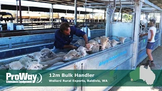 ProWay - 12m Bulk Handler - Wellard Rural Exports