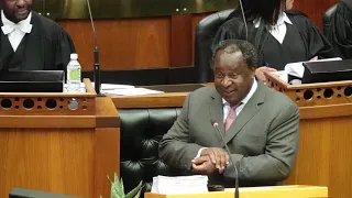 021 Budget Speech by the Minister of Finance Mr Tito Mboweni on Wednesday 24 February 2021 at 2pm