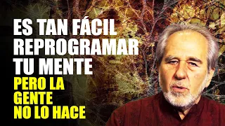 Cómo Reprogramar La Mente Antes De Dormir 🔴Bruce Lipton Reprogramar El Subconsciente Para La Riqueza