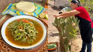 Sopa Ranchera de Nopales - La Herencia de las Viudas