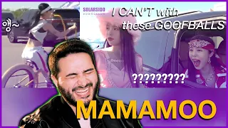 I laughed WAY TOO MUCH! | MAMAMOO - 'Illella' MV BTS and Solarsido Q&A