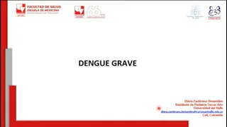 Dengue Grave