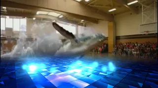 INCREDIBLE ????? A whale in a gym. Funny animal video.