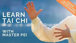 Tai Chi for Beginners - Best Instructional Video for Learning Tai Chi: Lesson 6