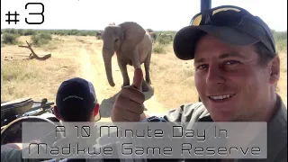 A 10 Minute Day In Madikwe - Vlog #3