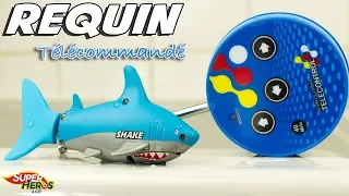 Toys RC Mini Shark Fish Remote Control Fish Toys for Kids Toy Review Unboxing