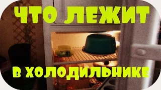 что у пенсионерки в холодильнике