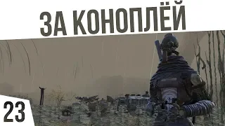 НА БОЛОТА ЗА КОНОПЛЁЙ! | #23 Kenshi Сценарий "На дне"