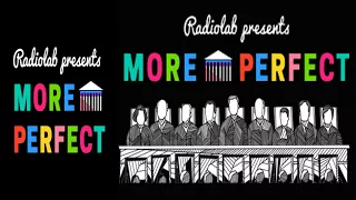 GOVERNMENT & ORGANIZATIONS - More Perfect- Ep.#2: The Political Thicket