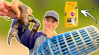 Crayfish Fishing - Fish vs Dog Food (What Works Best?!) | Team Galant