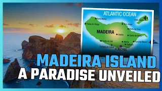 Madeira Island: A Paradise Unveiled