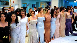 Imad Selim - عماد سليم - Miaser & Ceylan - Starja - Part 02 - 4K - Kurdische Hochzeit by #DilocanPro