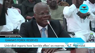 Unbridled imports have 'terrible effect' on Ghana's forex reserves – K T  Hammond