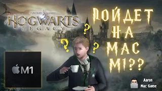 Hogwarts Legacy запуск на Mac M1 | Играем в Хогвартс легаси на новом процессоре Apple Silicon