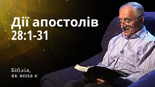 Дії апостолів 28:1-31 | Біблія, як вона є