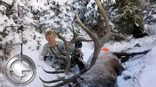 450 Yard Wyoming Elk Kill