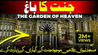 riaz ul jannah history | riyadh ul jannah madina sharif | riaz ul jannah masjid nabawi secrets