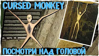 Проклятая обезьяна - Ужасы Ssskinwalker | Creepypasta & Unnerving images | Ужасы и страшные истории