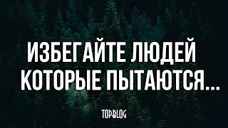 Жаль, что я не знал этого раньше! Цитаты которые точно пригодятся в жизни!