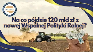 Jakie programy w WPR 2023-27?