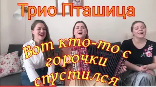 Трио Пташица - Вот кто-то с горочки спустился 🎶 знаменитая песня под гармонь.