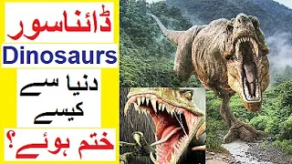 Dinosaurs Kaisay Khatam Hway ? - The World of Dinosaurs