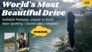 Icefield Parkway 4K - World's Most Beautiful Drive | Jasper to Banff | Summer 2021 | Grizzly Bears