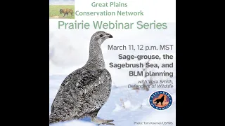 Sage-grouse, the Sagebrush Sea, and BLM planning