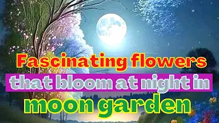 Have these fascinating flowers, that bloom only at night in your moon garden?