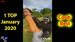 Coub BEST Cube TOP WEEK Коуб лучшее за неделю 1 ТОП январь 2020