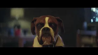 John Lewis Christmas Ad 2016 with Buster The Boxer Dog