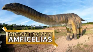 Amficelias - największe zwierzę lądowe jakie kiedykolwiek chodziło po Ziemi?