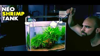 Aquascape Tutorial: Neocaridina Shrimp Tank (How To: Step By Step Planted Aquarium Guide)