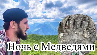 Ночь в палатке рядом с медведями.  Чечня / Хоч-Коча.